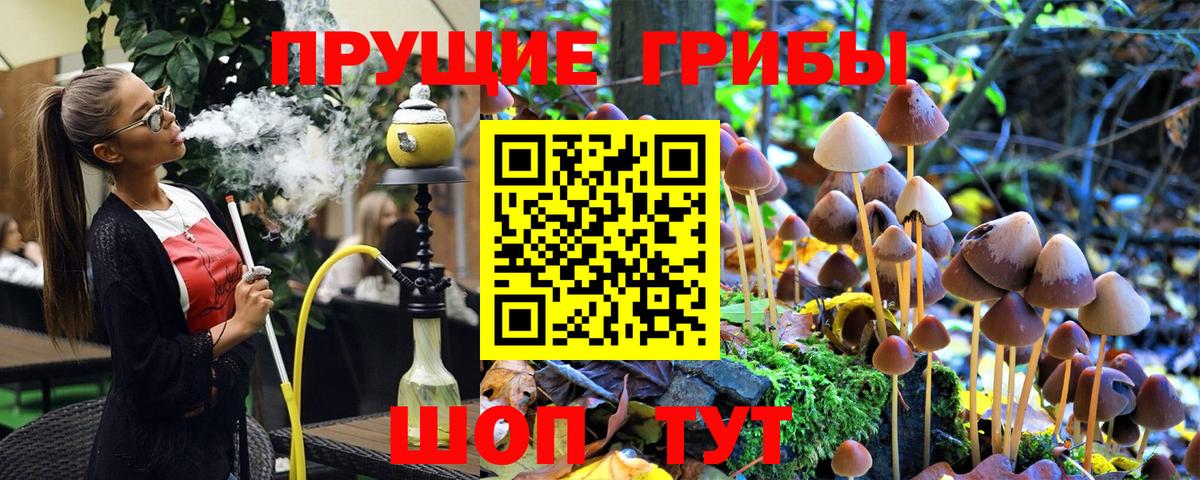 Псилоцибиновые грибы Magic Shrooms  Вход с VPN  Мелеуз 