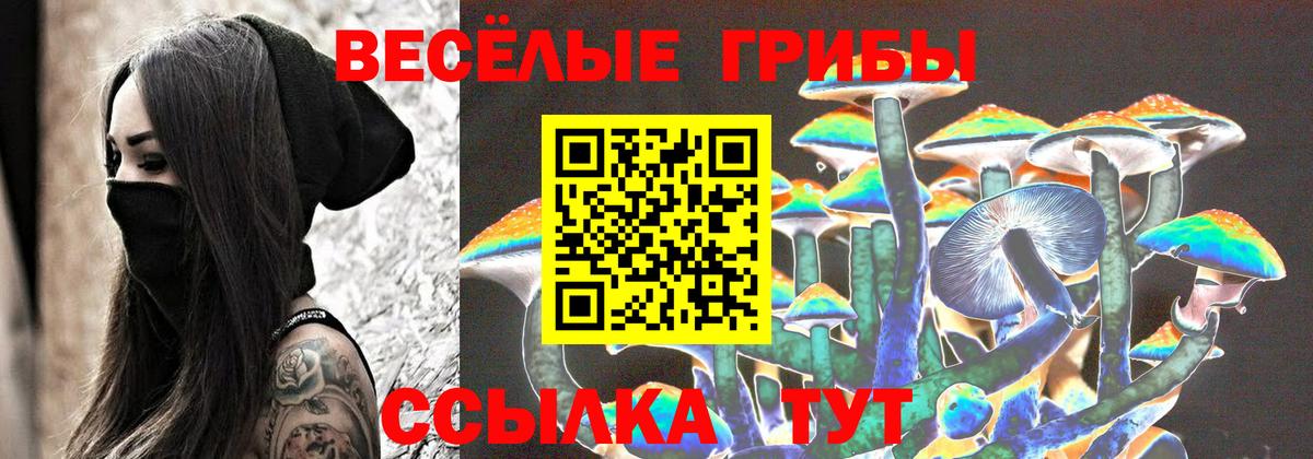 Галлюциногенные грибы ЛСД Мелеуз